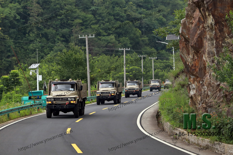 Dongfeng รถบรรทุกรถบรรทุกวิดีโอจริง 